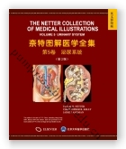奈特图解医学全集：第5卷 泌尿系统疾病（第2版）（影印）